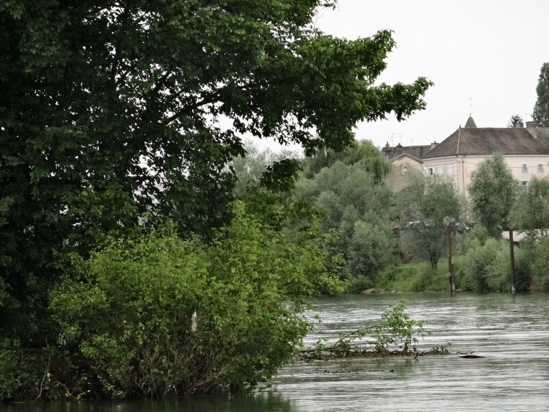 confluent Doubs Saône2