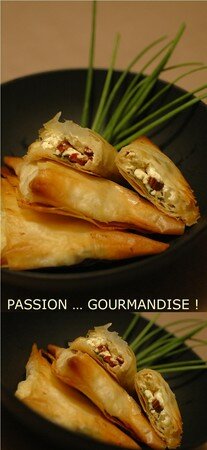Filo_fromage_frais_tomates_s_ch_es