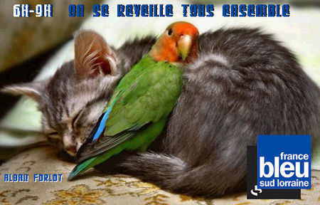 PHOTO_MATINALE