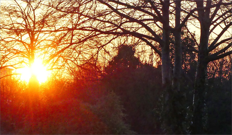 Coucher soleil rivière 2 110124