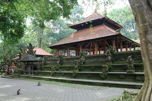 Ubud - Monkey forest (23)