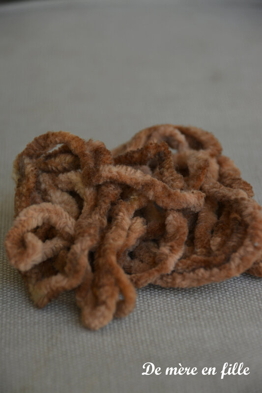 bird nest