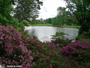 9342_Le_Parc_et_l_eau