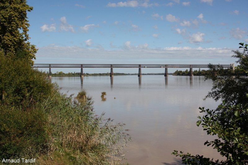 00847 Estuaire de la Gironde - Vieux Pont au dessus de la Dordogne pris depuis le Port de St Vincent-de-Paul