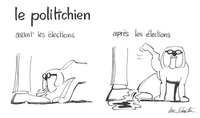 492490-le-politichien