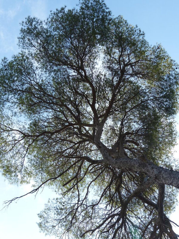 P1260578
