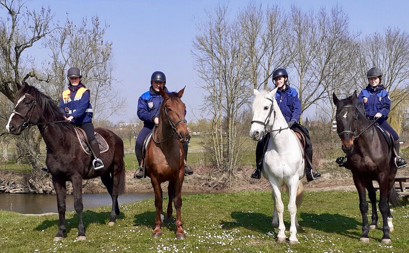 BRIGADES ÉQUESTRES CORONAVIRUS 4 cavaliers JM Berteaux