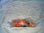 DSCF0235
