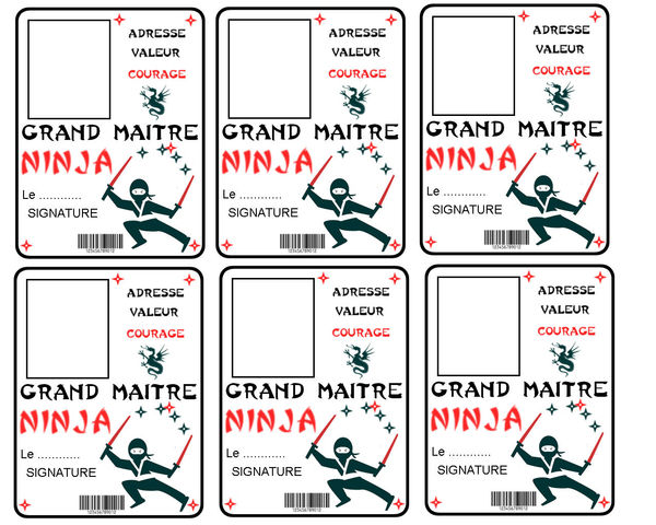 carte_de_ninja__V
