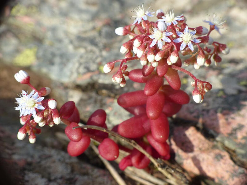 P1240920