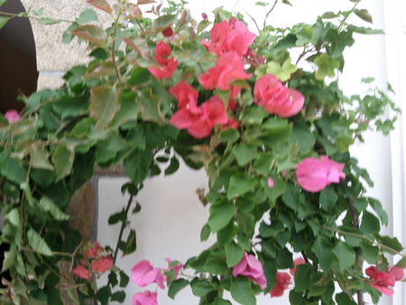 Photo0169