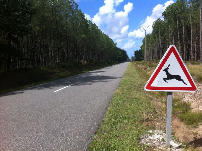 Sur la route de Bias (40)