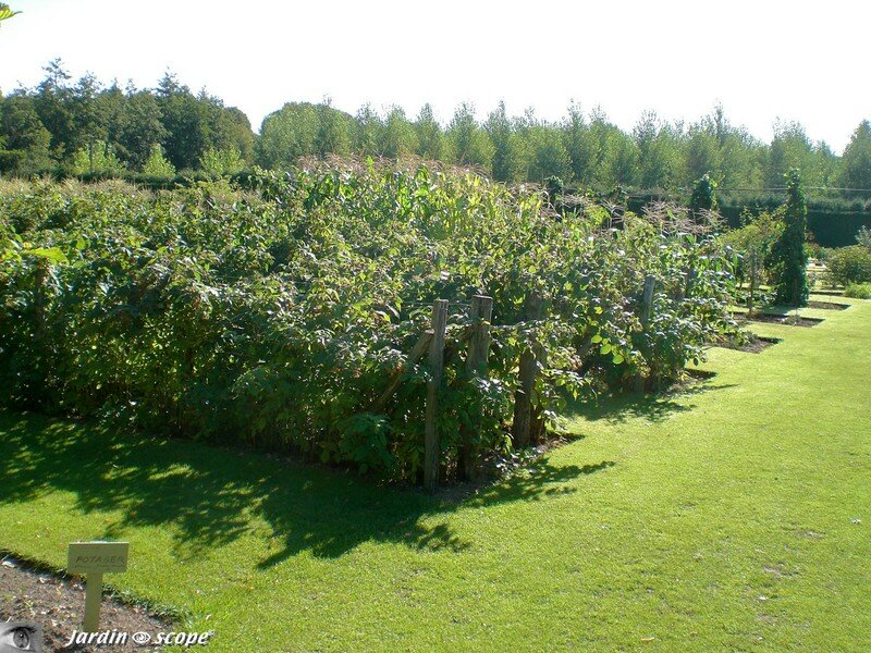 Le Potager de sasnières