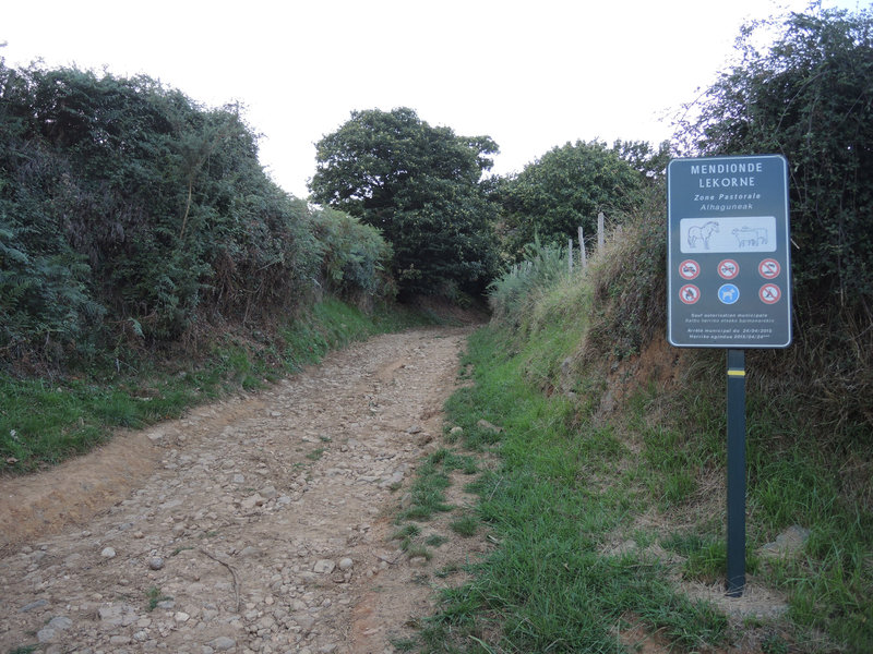 Mendionde, sentier Mont Ursuya, panneau (64)