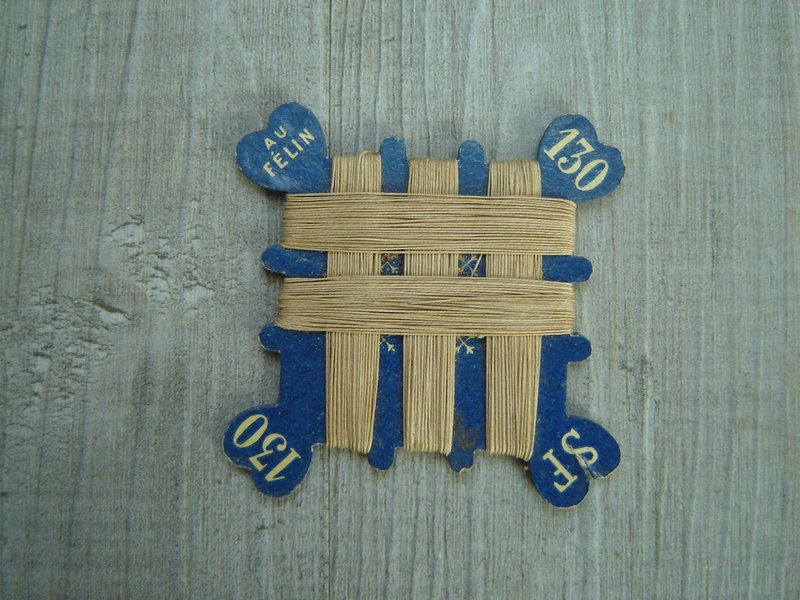 carte félin