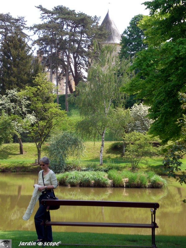 Au bord de l'eau à Apremont (18)