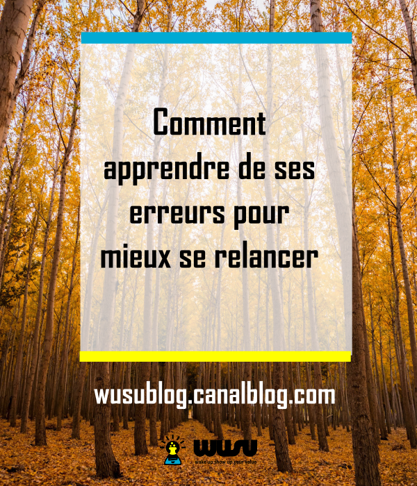 apprendre-echecs-motivation-coaching-wusubox-winniendjock-2017