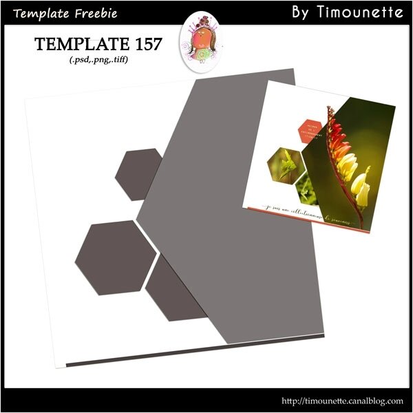 preview Template 157 by Timounette