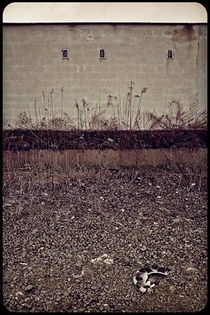 Emptiness_Daaram_2009