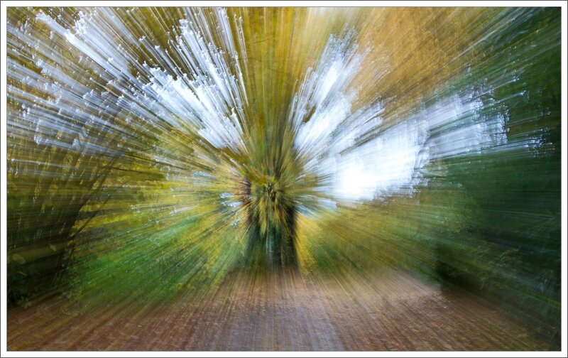 zoom automne 171116 4