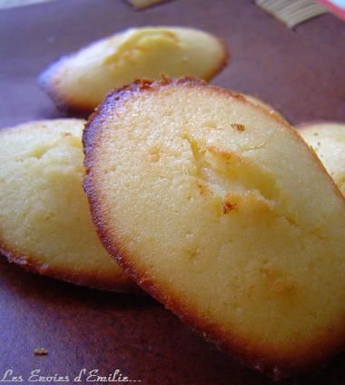 madeleine_au_citron_1er_essai___300