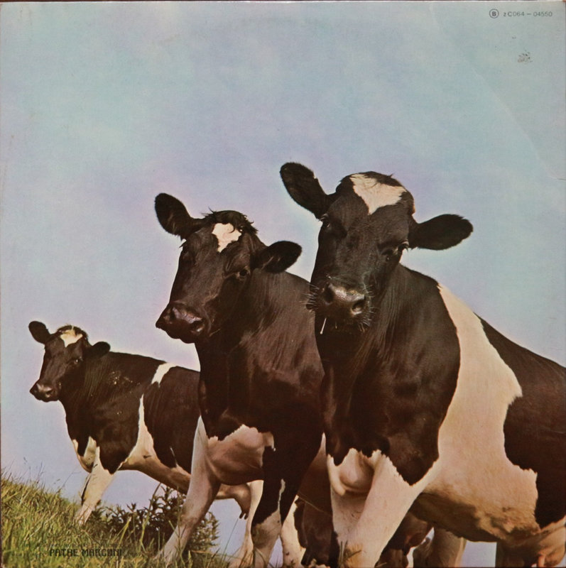 Atom heart mother(3)