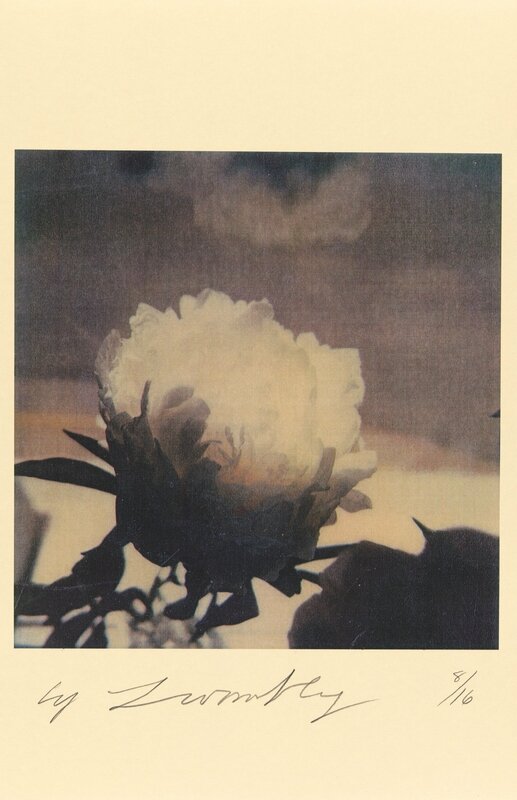 Twombly_Tree Peony
