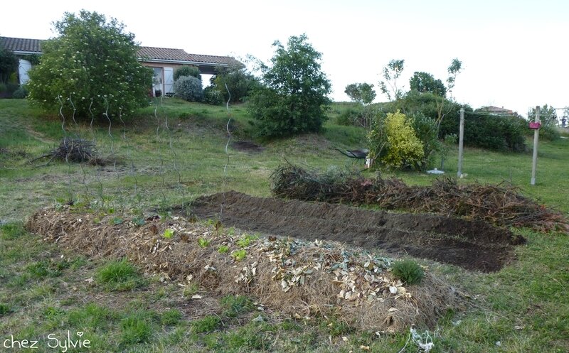 Potager permaculture 2e butte 02