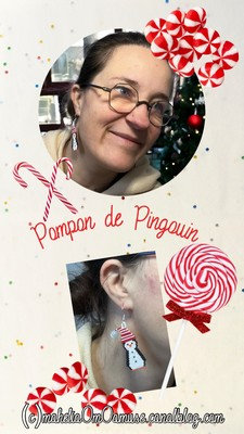 20231211_pompon de Pingouin_resized