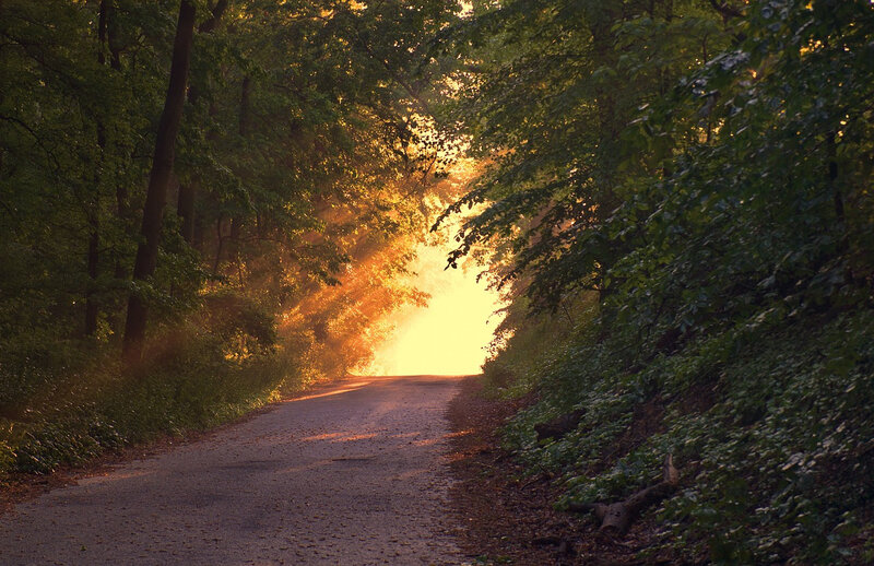 chemin de lumière