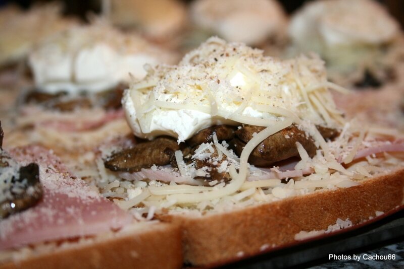 TOASTS CHAMPIGNONS (9)
