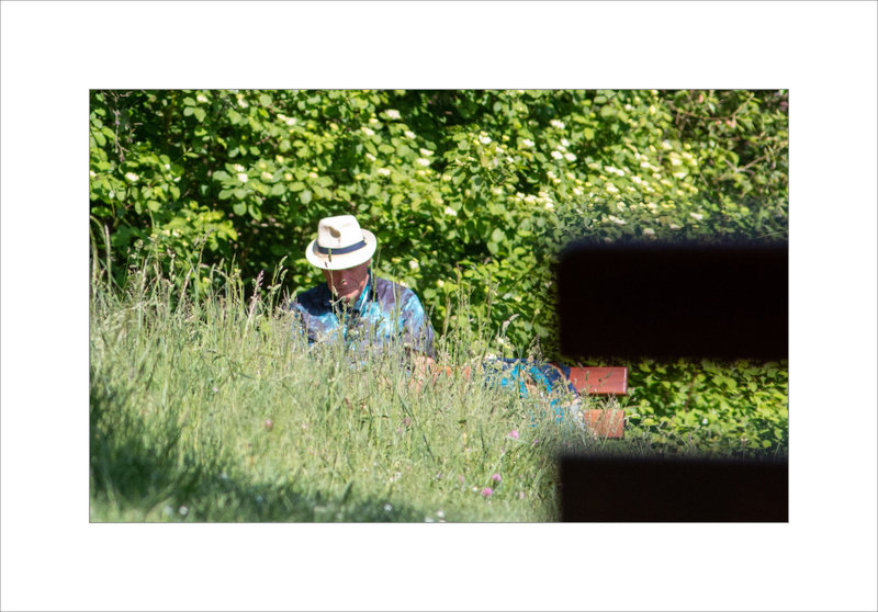 Homme assis chapeau herbe bancs 060522