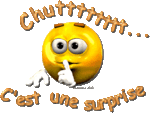 chut___c_est_une_surprise__