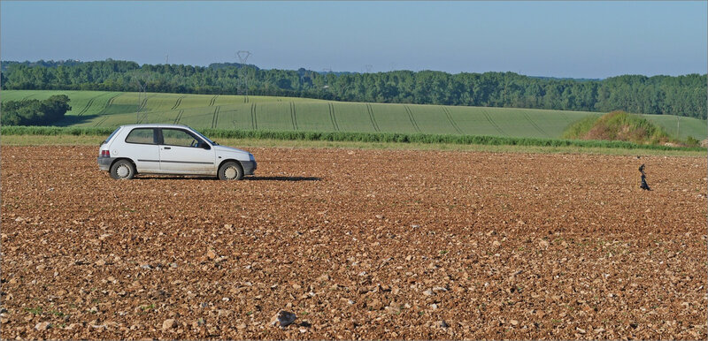 plaine voiture effaroucheur 200520 1