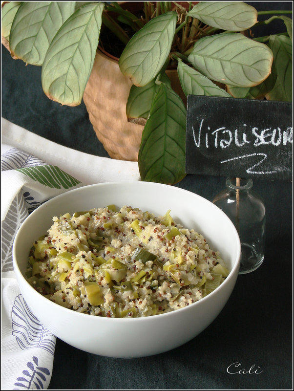 Quinoa au Vert de Poireau & Lait de Coco au Vitaliseur 001