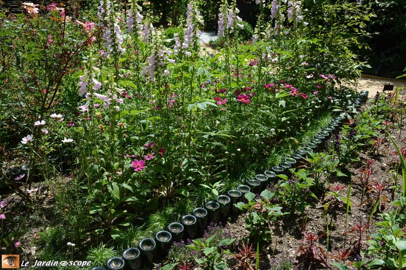 19-Jardin-des-plantes-oubliées-2