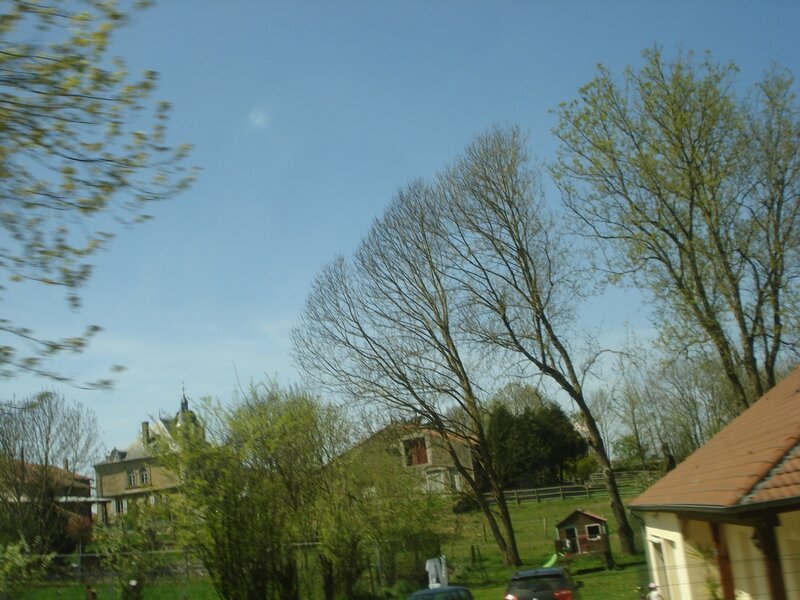 DSC06556