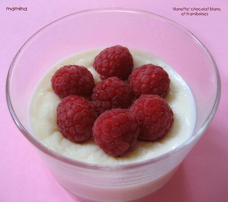 DANETTE_CHOCOLAT_BLANC_ET_FRAMBOISES