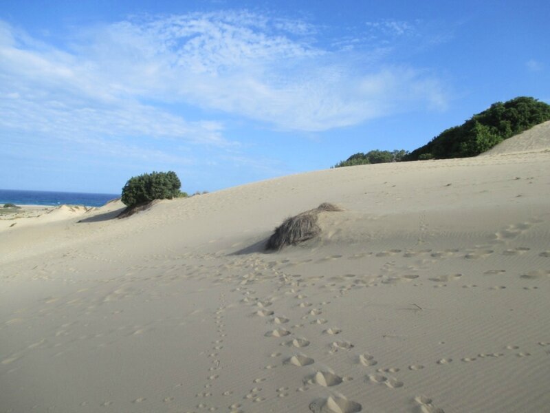 99 Dunes Piscinas