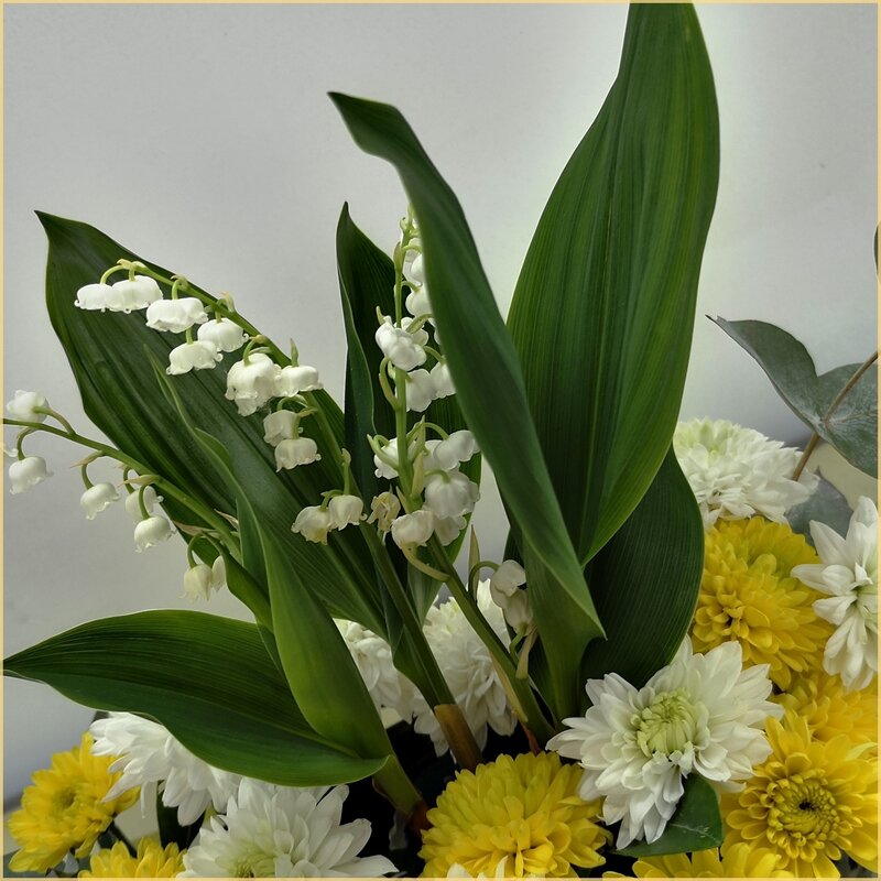 muguet_4