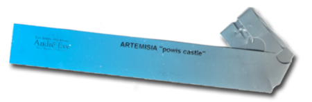 Artemisia