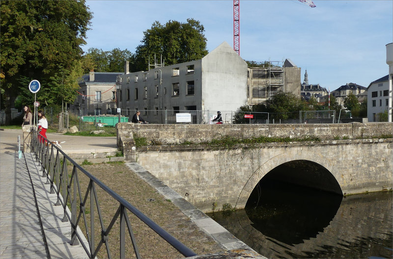 Niort oiseau MP pont Chamoiserie 041023 ym 8