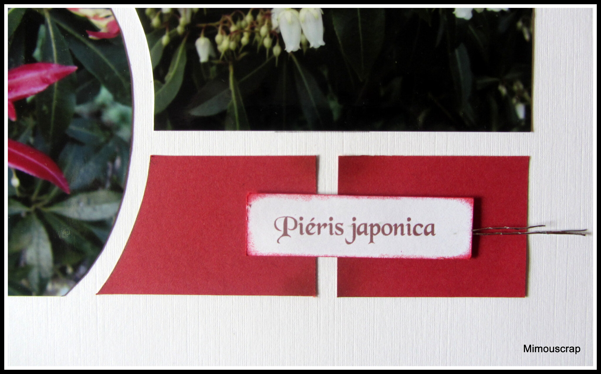 Jardin 2016 110