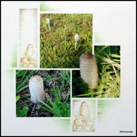 Marquenterre 2011026