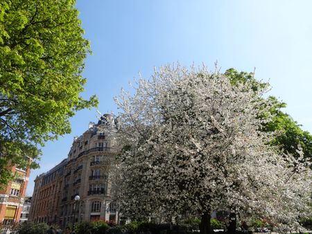 DSC00869