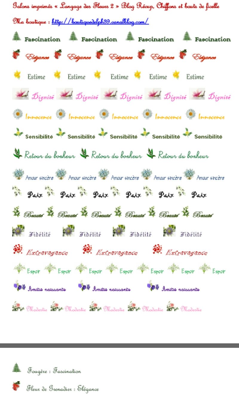langage fleurs2