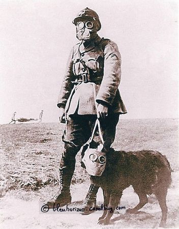 MASQUE CHIEN SOLDAT