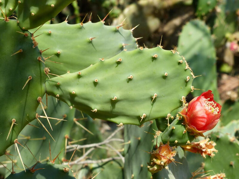 P1260593