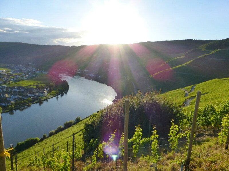 Mosel (2)