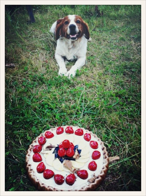 siensien gateau